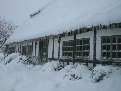 Stegstedgaard, vinteren 2009 